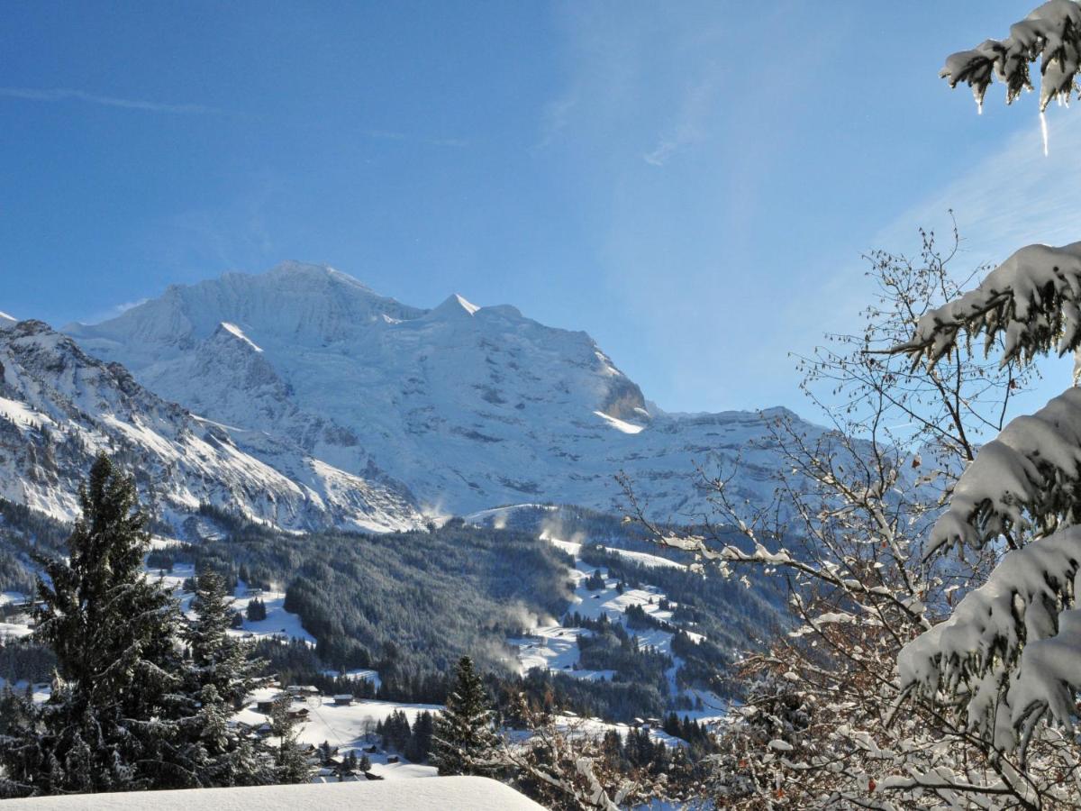 Apartment Panorama By Interhome Wengen Eksteriør billede